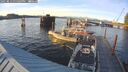 ./images/quadra/hbidock/20250813/hbidock20250813_195509M.jpg