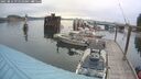 ./images/quadra/hbidock/20250814/hbidock20250814_075510M.jpg