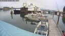 ./images/quadra/hbidock/20250814/hbidock20250814_081511M.jpg