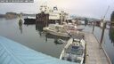 ./images/quadra/hbidock/20250814/hbidock20250814_082500M.jpg