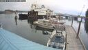 ./images/quadra/hbidock/20250814/hbidock20250814_102508M.jpg