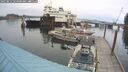 ./images/quadra/hbidock/20250814/hbidock20250814_103500M.jpg