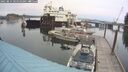 ./images/quadra/hbidock/20250814/hbidock20250814_104510M.jpg