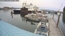 ./images/quadra/hbidock/20250814/hbidock20250814_105000M.jpg