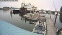 ./images/quadra/hbidock/20250814/hbidock20250814_114000M.jpg