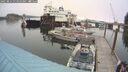 ./images/quadra/hbidock/20250814/hbidock20250814_114009M.jpg