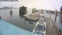 ./images/quadra/hbidock/20250814/hbidock20250814_142000M.jpg