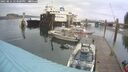 ./images/quadra/hbidock/20250814/hbidock20250814_153000M.jpg