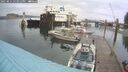 ./images/quadra/hbidock/20250814/hbidock20250814_153012M.jpg