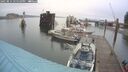 ./images/quadra/hbidock/20250814/hbidock20250814_155510M.jpg