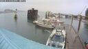 ./images/quadra/hbidock/20250814/hbidock20250814_173510M.jpg