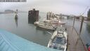 ./images/quadra/hbidock/20250814/hbidock20250814_174009M.jpg