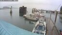 ./images/quadra/hbidock/20250814/hbidock20250814_174500M.jpg