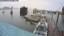 ./images/quadra/hbidock/20250814/hbidock20250814_180000M.jpg