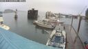 ./images/quadra/hbidock/20250814/hbidock20250814_180509M.jpg