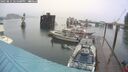 ./images/quadra/hbidock/20250814/hbidock20250814_181500M.jpg