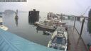 ./images/quadra/hbidock/20250814/hbidock20250814_184510M.jpg