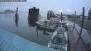 ./images/quadra/hbidock/20250815/hbidock20250815_060510M.jpg