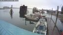 ./images/quadra/hbidock/20250815/hbidock20250815_064011M.jpg