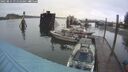 ./images/quadra/hbidock/20250815/hbidock20250815_071510M.jpg