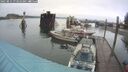 ./images/quadra/hbidock/20250815/hbidock20250815_073011M.jpg
