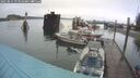 ./images/quadra/hbidock/20250815/hbidock20250815_073510M.jpg
