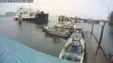 ./images/quadra/hbidock/20250815/hbidock20250815_102508M.jpg
