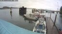 ./images/quadra/hbidock/20250815/hbidock20250815_125011M.jpg