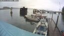 ./images/quadra/hbidock/20250815/hbidock20250815_125500M.jpg