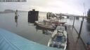 ./images/quadra/hbidock/20250815/hbidock20250815_132000M.jpg