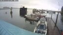 ./images/quadra/hbidock/20250815/hbidock20250815_132011M.jpg