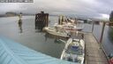 ./images/quadra/hbidock/20250815/hbidock20250815_170011M.jpg