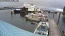 ./images/quadra/hbidock/20250815/hbidock20250815_174500M.jpg