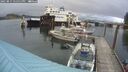 ./images/quadra/hbidock/20250815/hbidock20250815_175011M.jpg