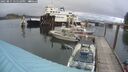 ./images/quadra/hbidock/20250815/hbidock20250815_175510M.jpg