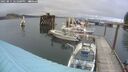 ./images/quadra/hbidock/20250815/hbidock20250815_181000M.jpg
