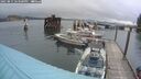 ./images/quadra/hbidock/20250815/hbidock20250815_183500M.jpg