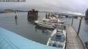 ./images/quadra/hbidock/20250815/hbidock20250815_183510M.jpg