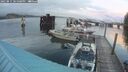 ./images/quadra/hbidock/20250815/hbidock20250815_201008M.jpg
