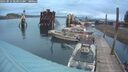 ./images/quadra/hbidock/20250816/hbidock20250816_063011M.jpg