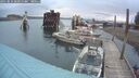 ./images/quadra/hbidock/20250816/hbidock20250816_065011M.jpg