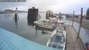 ./images/quadra/hbidock/20250816/hbidock20250816_074510M.jpg