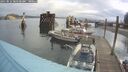 ./images/quadra/hbidock/20250816/hbidock20250816_084500M.jpg