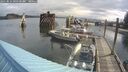 ./images/quadra/hbidock/20250816/hbidock20250816_090500M.jpg