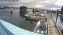 ./images/quadra/hbidock/20250816/hbidock20250816_091511M.jpg