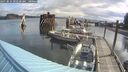./images/quadra/hbidock/20250816/hbidock20250816_092500M.jpg