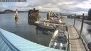 ./images/quadra/hbidock/20250816/hbidock20250816_092509M.jpg
