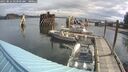 ./images/quadra/hbidock/20250816/hbidock20250816_093000M.jpg