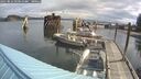 ./images/quadra/hbidock/20250816/hbidock20250816_093011M.jpg