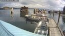 ./images/quadra/hbidock/20250816/hbidock20250816_094510M.jpg